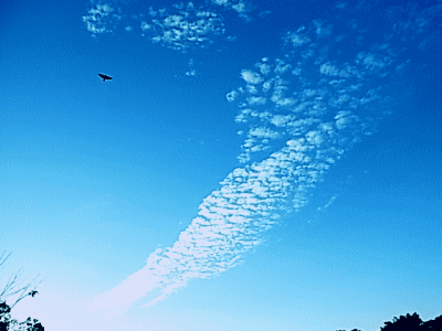 ☆飛ぶ鳥と、大きな翼のような雲