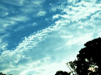真夏の空   ◆白い雲